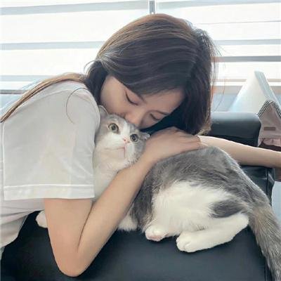 史考特与席德